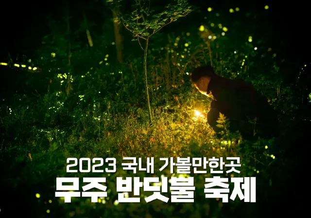 2023 국내 가볼만한곳 무주 반딧불 축제