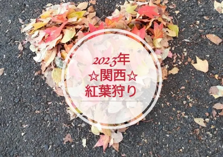 【関西】紅葉　2023年の見頃情報　紅葉名所ーおすすめ23選☆おすすめの紅葉スポット☆温泉と紅葉☆フォトジェニックな紅葉ポイント☆