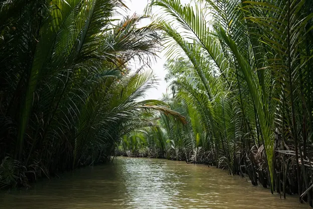 Il delta del Mekong in Vietnam