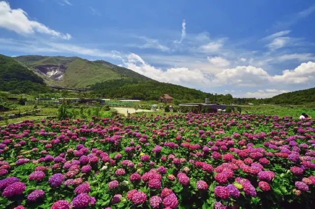 陽明山