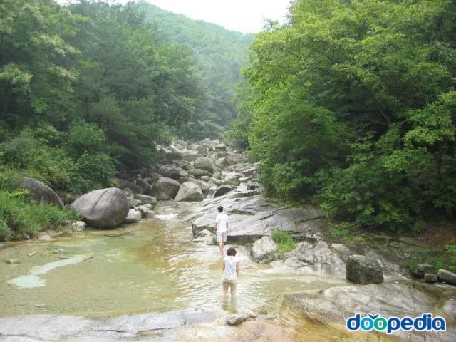 수심 얕은 서울 근교 계곡 추천