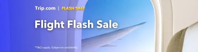 Flight Flash Sale