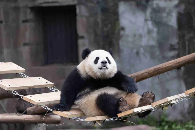 重慶動物園