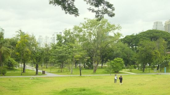 A large forest park in middle 