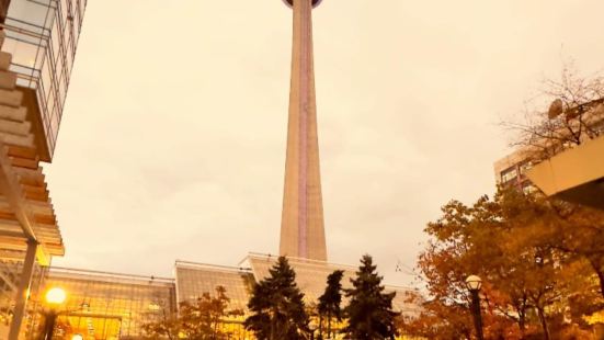 couple tour in Toronto Canada 