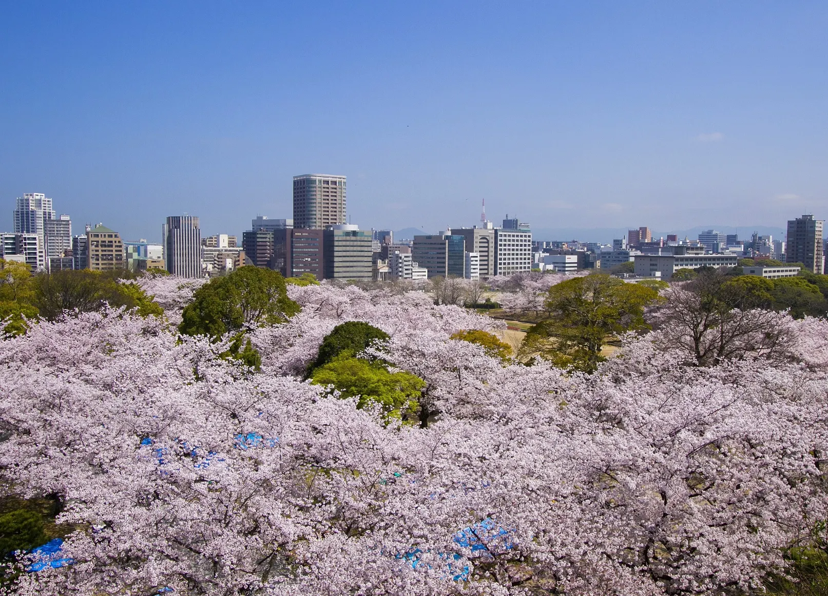 福岡城