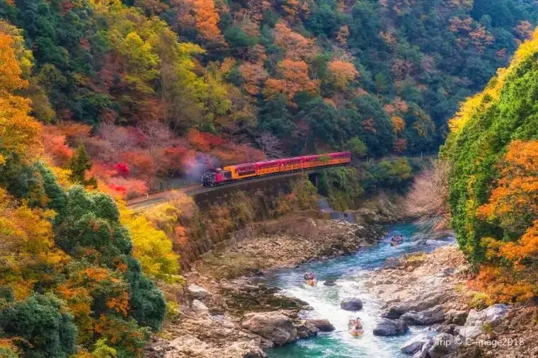 乘搭嵯峨野遊覽小火車，觀賞大堰川沿岸的紅葉和自然美景