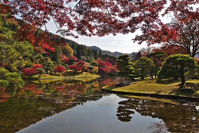 kyoto temple - Magnificent fall leaves