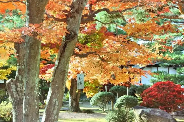 日本第一座公立植物園，本名大典紀念京都植物園