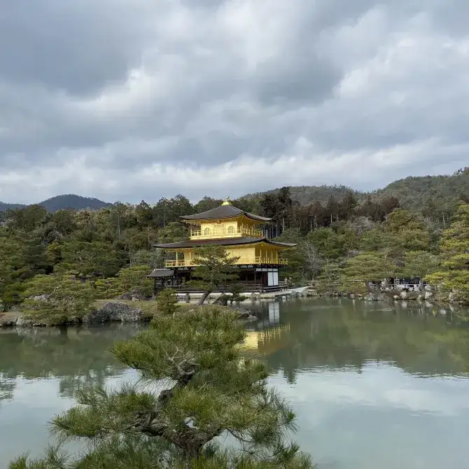 金碧輝煌的金閣寺與周圍的湖光山色巧妙地融為一體