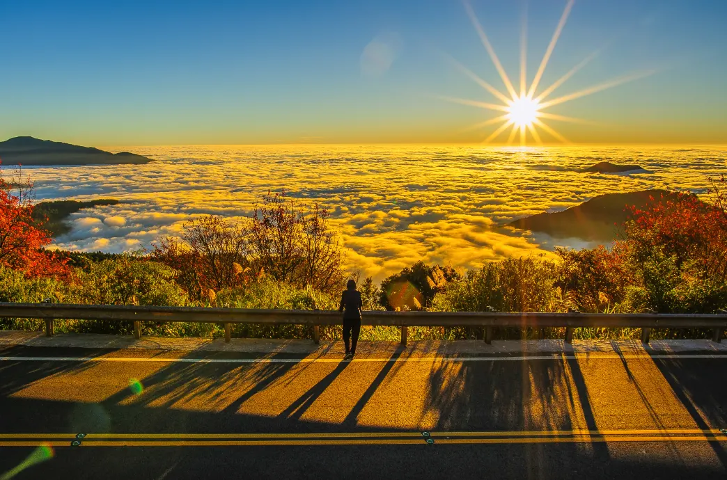 嘉義縣阿里山國家風景區