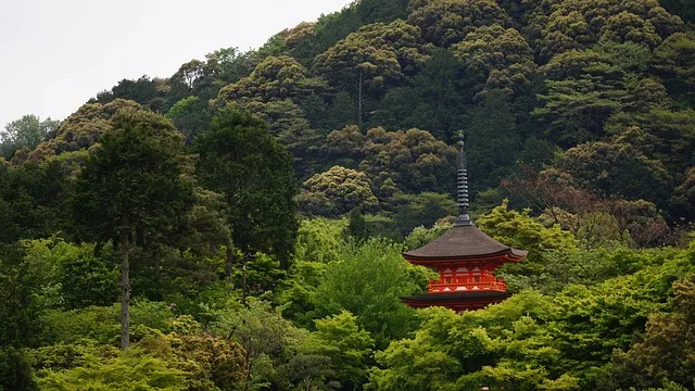 kyoto temple - The charming temples of Kyoto