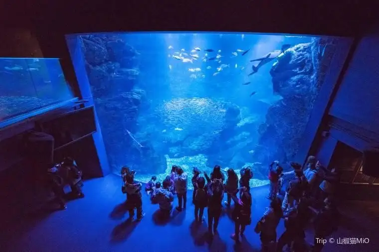 據悉是日本規模最大的內陸型水族館