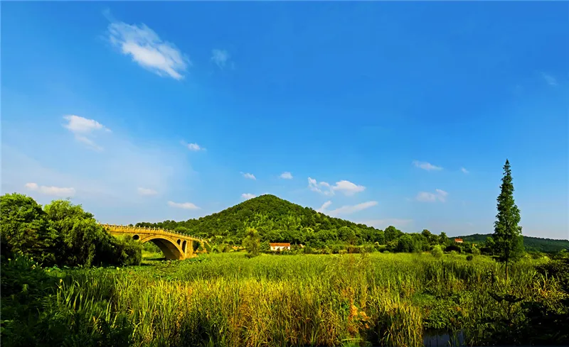 武漢市馬鞍山森林公園