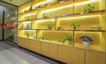 Dihang Boutique Hotel (Shanghai Pudong Airport)