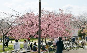 <Kyoto Machiya Kouhaku> Tanbaguchi