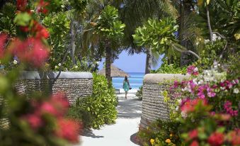 a woman is walking down a path surrounded by lush greenery and colorful flowers , leading to a beautiful beach at Four Seasons Resort Maldives at Kuda Huraa