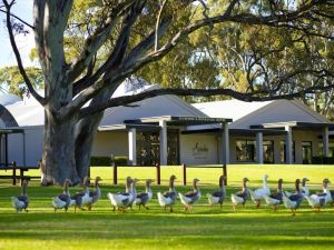 Serafino McLaren Vale