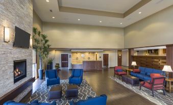 Comfort Suites Medical Center