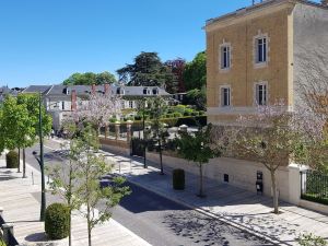 L'épopée de L'avenue - Avenue de Champagne Epernay