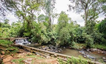 Kimugu River Lodge