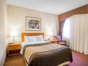 Quality Inn Toronto Airport