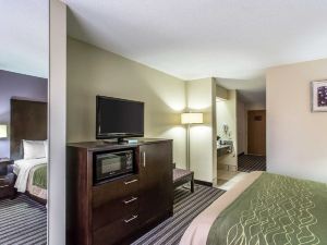 Comfort Inn Paducah I-24