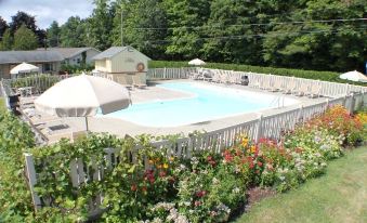 a large outdoor pool surrounded by flowers and bushes , with umbrellas placed around the pool area at Capri Village