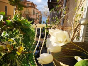 Appartement Familial Dans le Triangle Dor Ajaccio