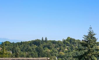 Seattle Vacation Home: Berlin Wall