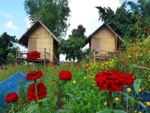 Baan AingDoi Homestay