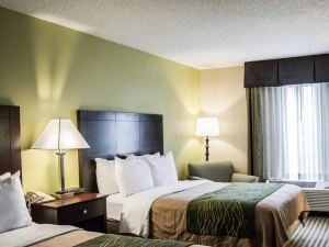 Comfort Inn & Suites St Pete - Clearwater International Airport