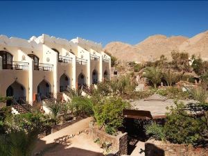 The Bedouin Moon