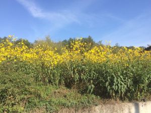 la masseria di Antonio e Teresina