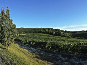 Tenuta la Meirana Gavi