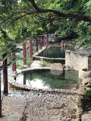 Qi Xian Yao Chi Wild Hot Springs