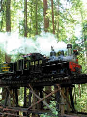 Roaring Camp