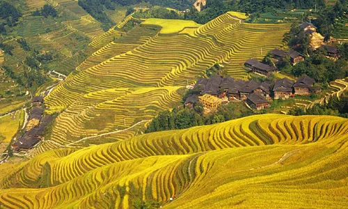 Longji Terraces