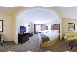 Holiday Inn Express & Suites Dallas East - Fair Park