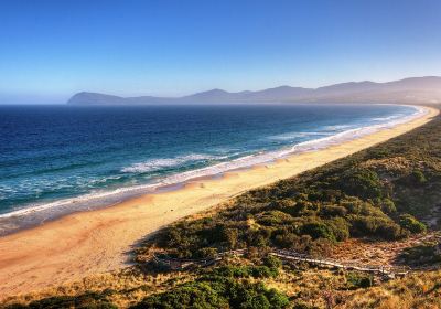 Bruny Island