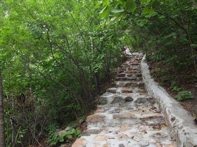 其實就是登山步道了。最開始我看到tiger mountain