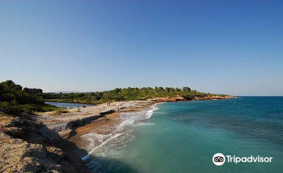 Playa de Santes Creus