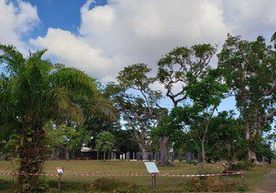 Jardin Botanique