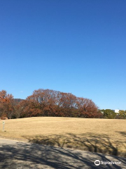 広島市中央公園