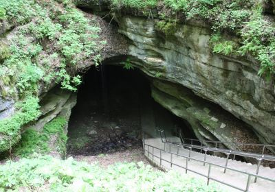 Mammoth Cave National Park