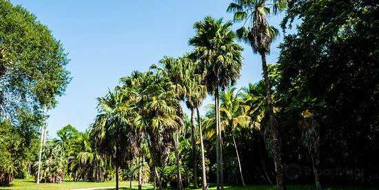 Hotels in Granma, Cuba