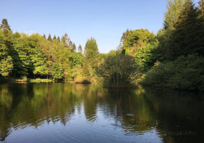 Dún a Rí Forest Park