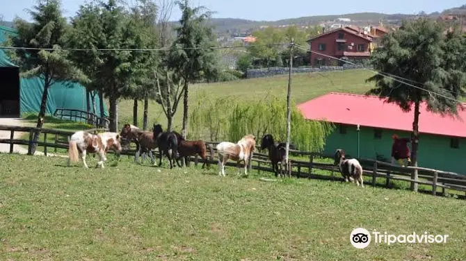 1_Göçmen’s Ranch