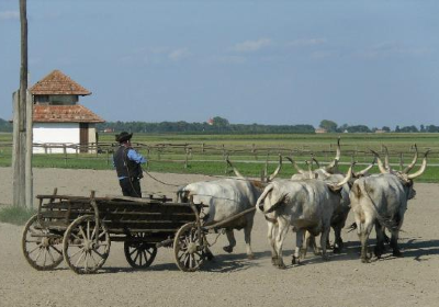 Puszta Animal Park