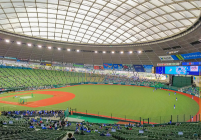 Seibu Prince dome